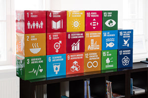 SDG Cubes – Recycled Carton